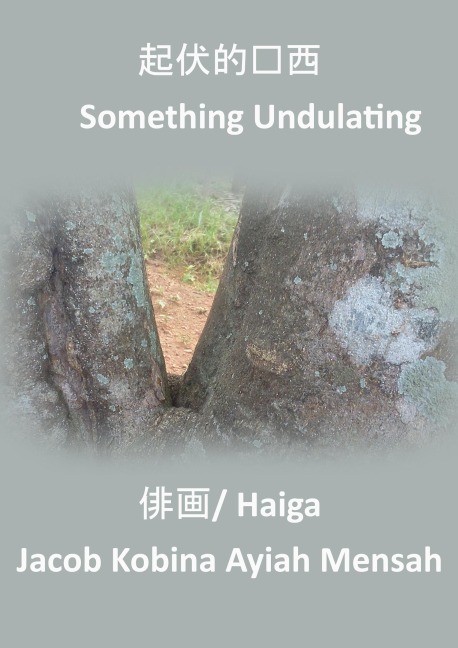 Something Undulating - Jacob Kobina Ayiah Mensah