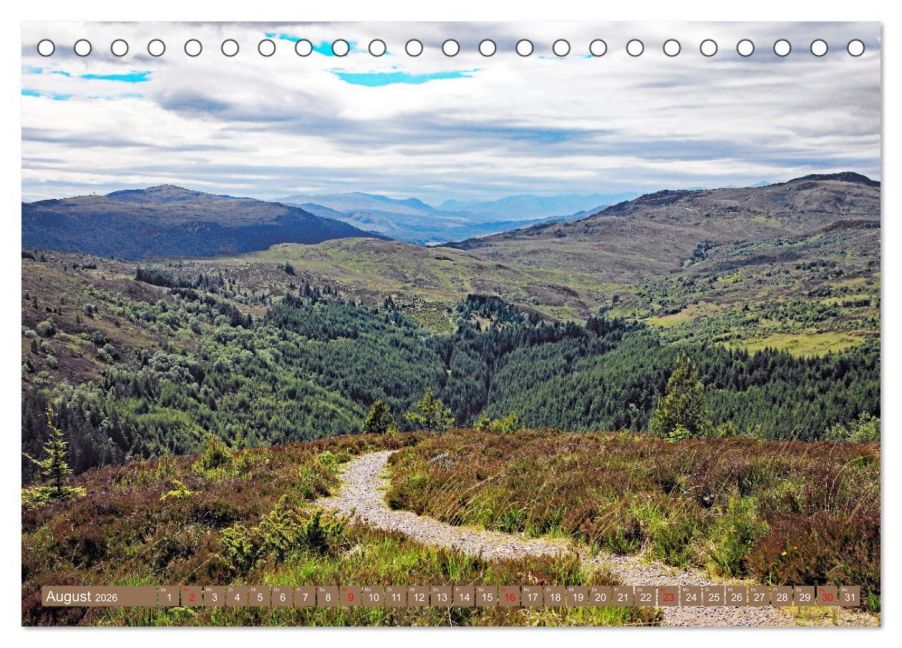 InsideView 13