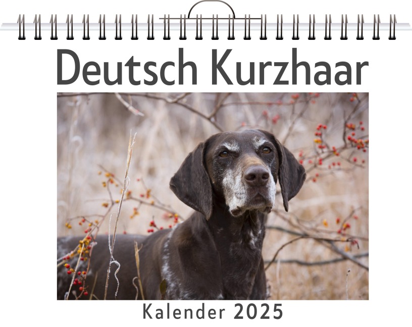 Deutsch Kurzhaar - Elias Krüger