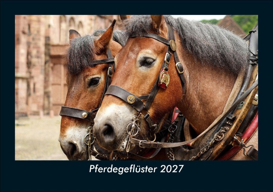 Pferdegeflüster 2027 Fotokalender DIN A5 - Tobias Schmitt, Kevin Heber