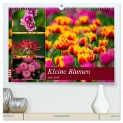 Kleine Blumen ganz groß (hochwertiger Premium Wandkalender 2026 DIN A2 quer), Kunstdruck in Hochglanz - M. Reznicek