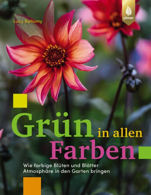 Grün in allen Farben - Lucy Bellamy