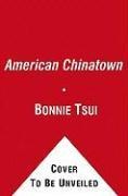 Cover-Bild zum Titel 'American Chinatown' von 'Bonnie Tsui'