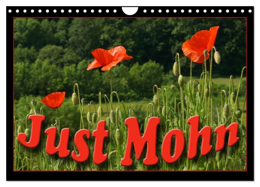 Just Mohn (Wandkalender 2026 DIN A4 quer), CALVENDO Monatskalender - Flori Flori0