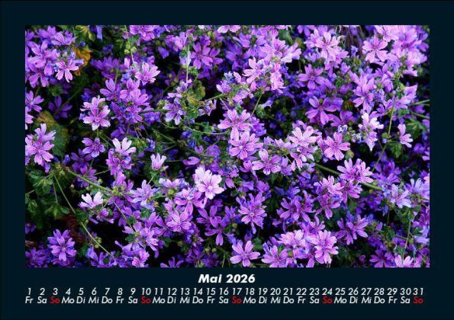 InsideView 9