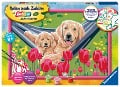 Cover-Bild zum Titel 'Ravensburger Malen nach Zahlen 20164 - Kuschelpause - Kinder ab 9 Jahren' von ''