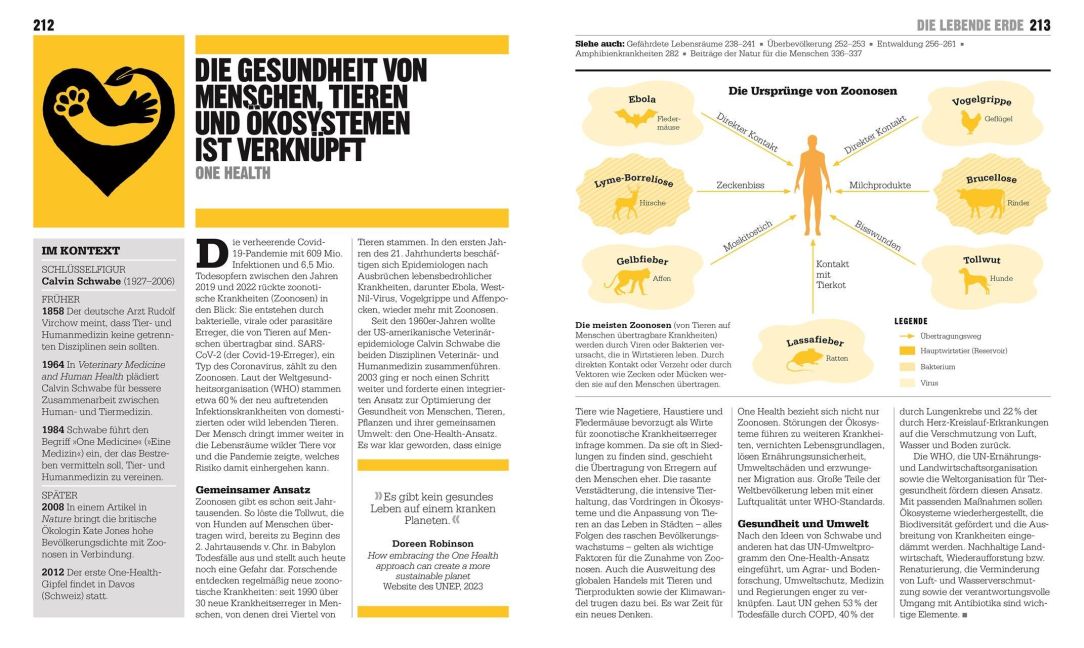 InsideView 7