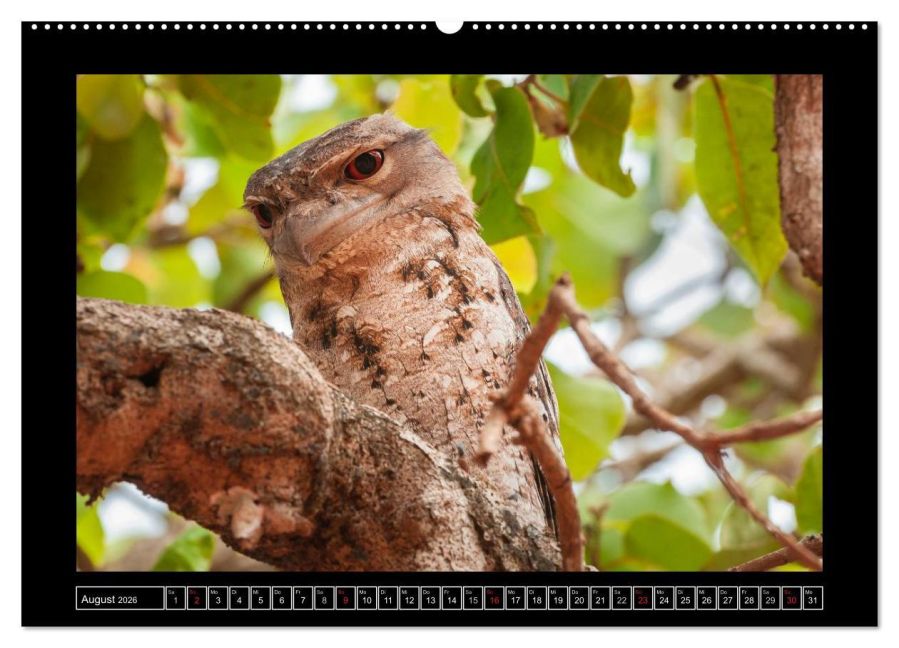 InsideView 12