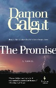 Cover-Bild zum Titel 'The Promise' von 'Damon Galgut'
