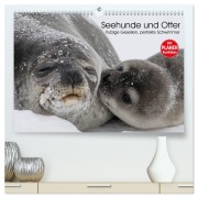 Cover-Bild zum Titel 'Seehunde und Otter. Putzige Gesellen, perfekte Schwimmer (hochwertiger Premium Wandkalender 2026 DIN A2 quer), Kunstdruck in Hochglanz' von 'Elisabeth Stanzer'