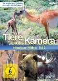 Tiere vor der Kamera - Abenteuer Wildnis 2 - Tiere vor der Kamera