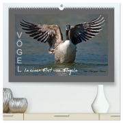 Cover-Bild zum Titel 'VÖGEL (hochwertiger Premium Wandkalender 2026 DIN A2 quer), Kunstdruck in Hochglanz' von 'Philippe Henry'