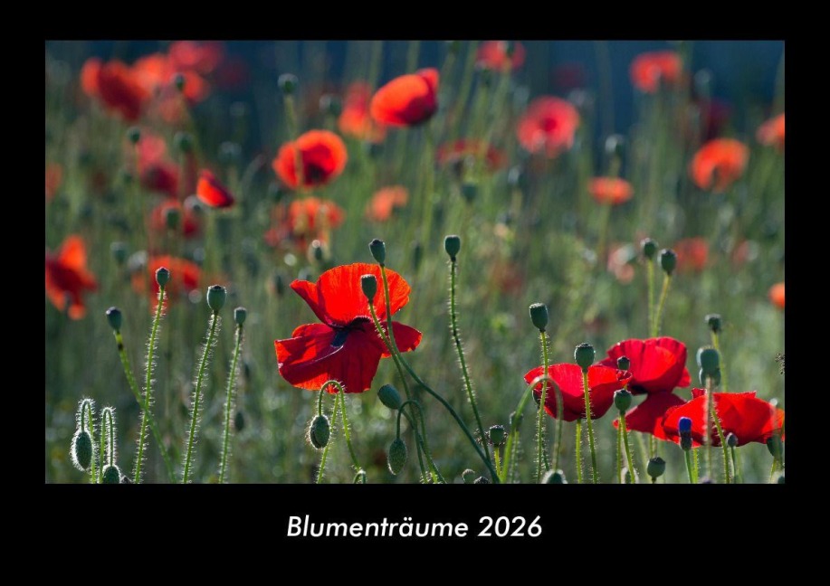 Blumenträume 2026 Fotokalender DIN A3 - Tobias Becker