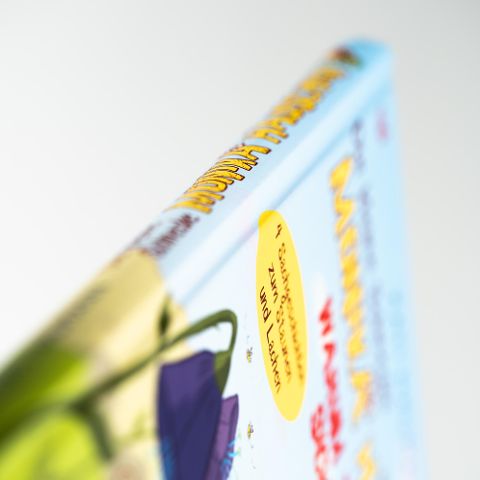 InsideView 3