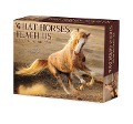 What Horses Teach Us 2024 6.2 X 5.4 Box Calendar - Willow Creek Press