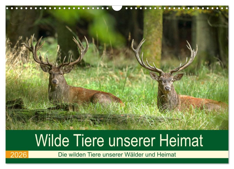Wilde Tiere unserer Heimat (Wandkalender 2026 DIN A3 quer), CALVENDO Monatskalender - Roland Brack