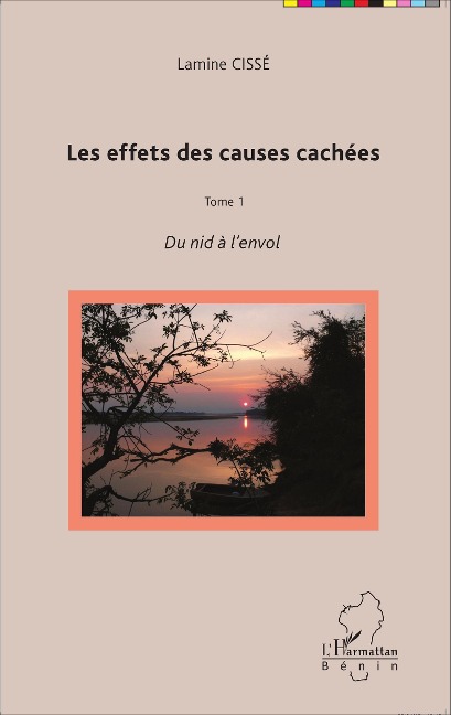 Les effets des causes cachées - Cisse
