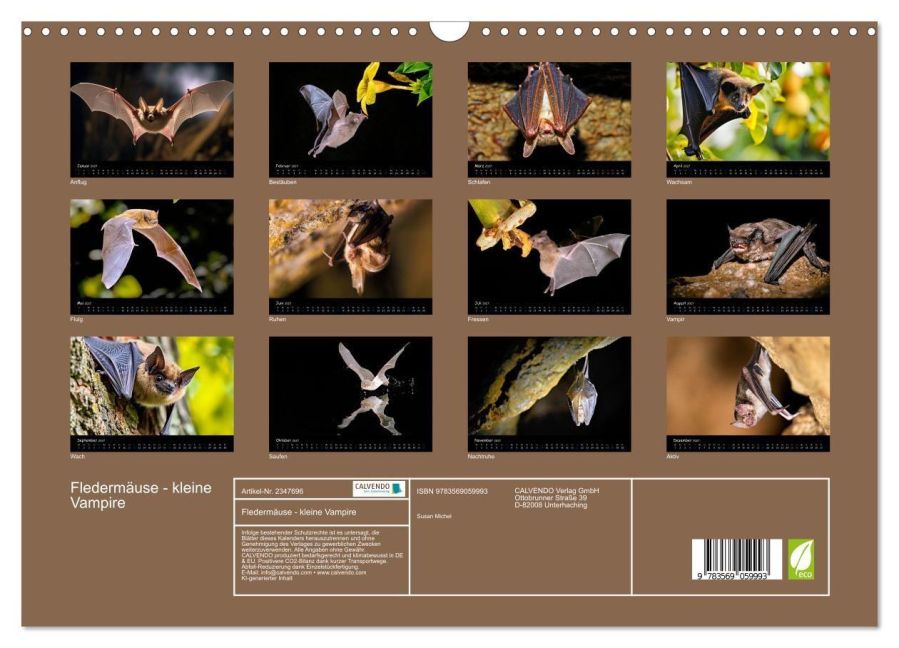 InsideView 5