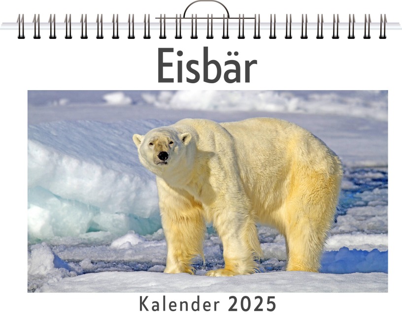 Eisbär - Anna Meier