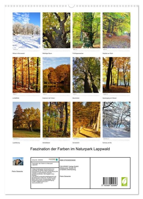 InsideView 4