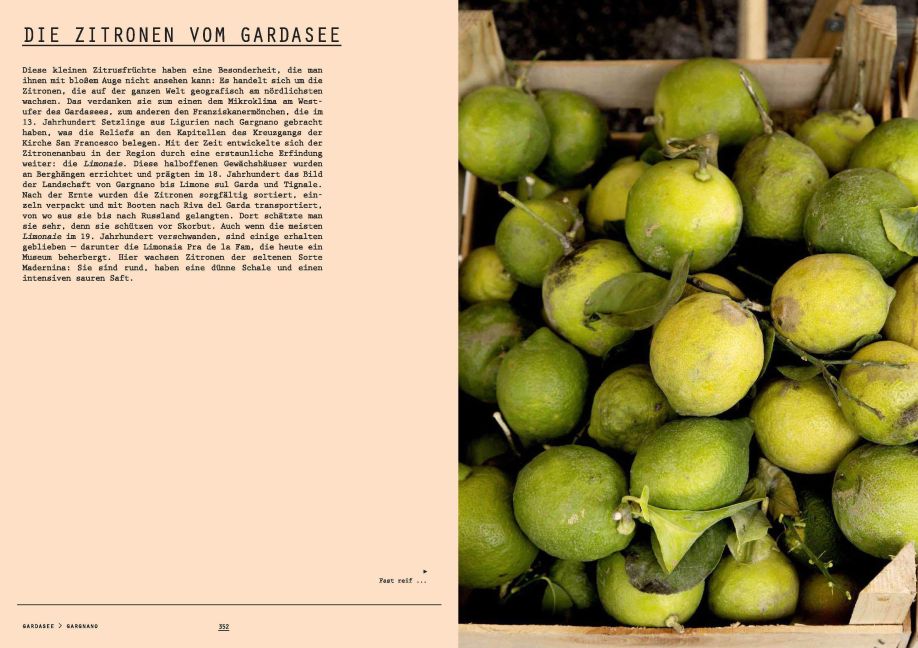 InsideView 10