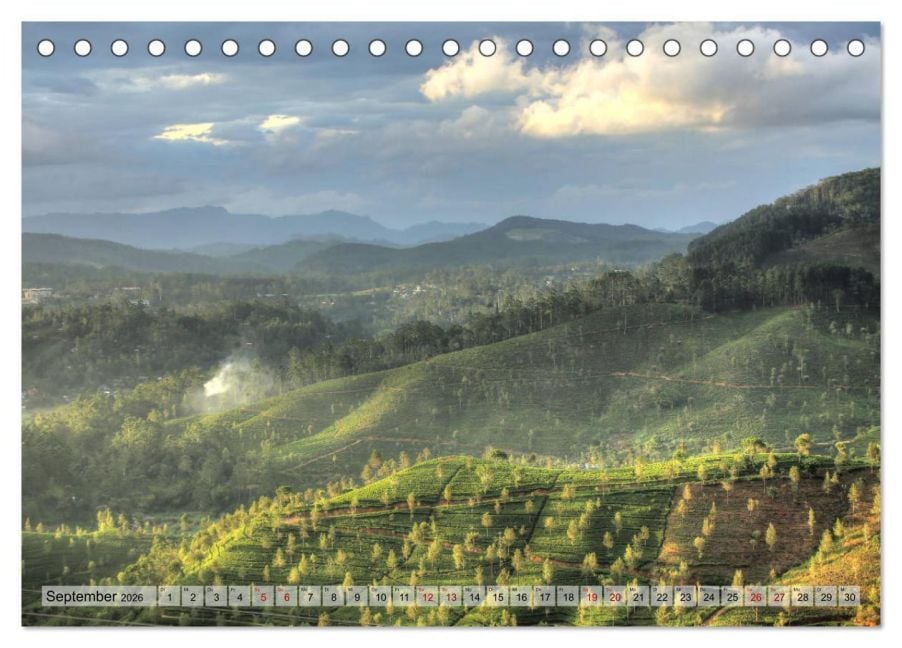 InsideView 14