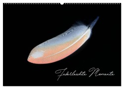Federleichte Momente (Wandkalender 2025 DIN A2 quer), CALVENDO Monatskalender - Natalie Moßhammer