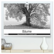 Cover-Bild zum Titel 'Bäume - Naturschönheiten in schwarz-weiß (hochwertiger Premium Wandkalender 2026 DIN A2 quer), Kunstdruck in Hochglanz' von 'Angelika Beuck'