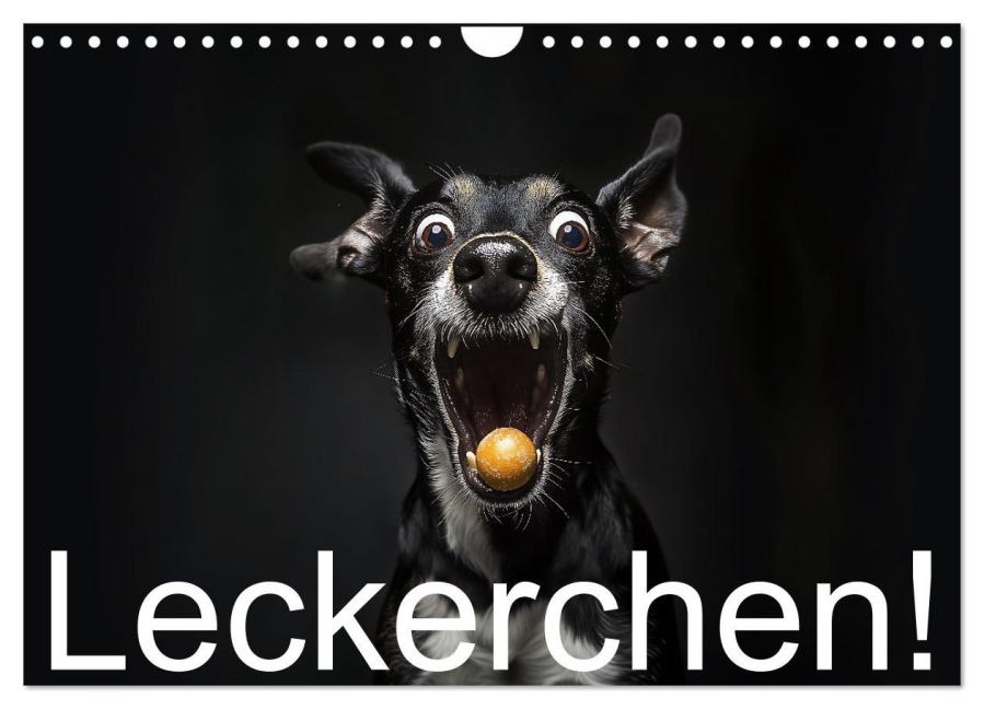 Leckerchen! (Wandkalender 2026 DIN A4 quer), CALVENDO Monatskalender - Jürgen Moers