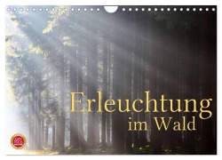Cover-Bild zum Titel 'Erleuchtung im Wald (Wandkalender 2026 DIN A4 quer), CALVENDO Monatskalender' von 'Martina Cross'