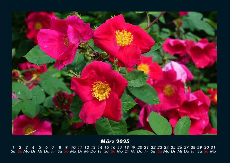 InsideView 7
