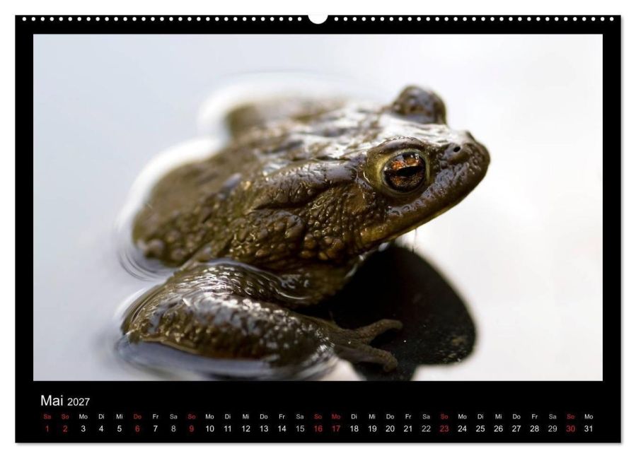 InsideView 10