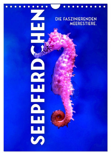 Seepferdchen - Die faszinierende Meerestiere. (Wandkalender 2026 DIN A4 hoch), CALVENDO Monatskalender - Sf Sf