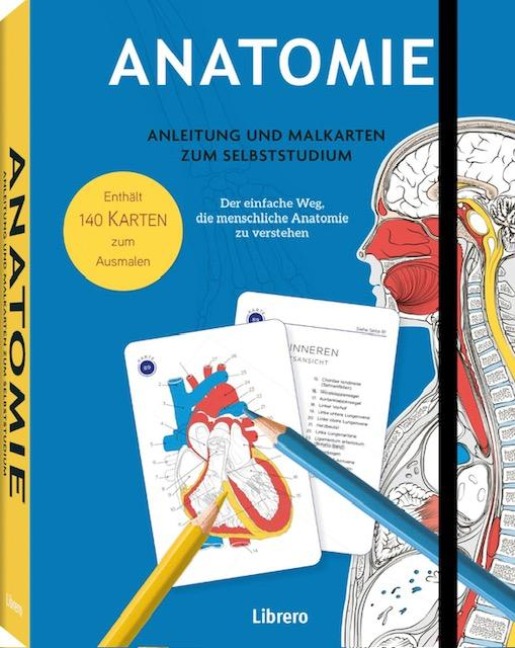 Anatomie - Anleitung und Malkarten zum Selbststudium - Gary Sacks