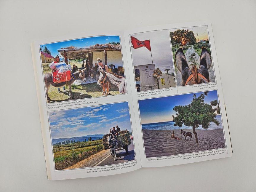 InsideView 10