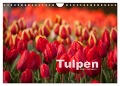 Tulpen (Wandkalender 2025 DIN A4 quer), CALVENDO Monatskalender - Peter Schickert