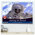 Auftrag im Weltall. Astronauten und Raumfahrt (hochwertiger Premium Wandkalender 2025 DIN A2 quer), Kunstdruck in Hochglanz - Elisabeth Stanzer