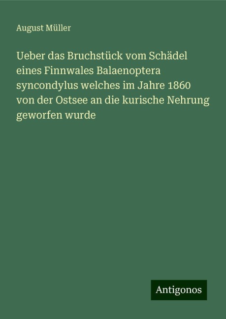 Ueber das Bruchstück vom Schädel eines Finnwales Balaenoptera syncondylus welches im Jahre 1860 von der Ostsee an die kurische Nehrung geworfen wurde - August Müller