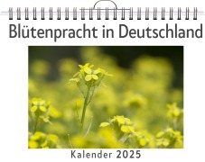 Cover-Bild zum Titel 'Blütenpracht in Deutschland' von 'Anton Scholz'