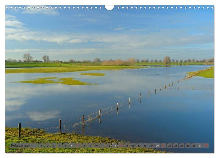 InsideView 7