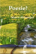 Cover-Bild zum Titel 'Poesie?' von 'Marco Flammini'
