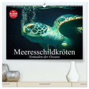 Meeresschildkröten. Nomaden der Ozeane (hochwertiger Premium Wandkalender 2026 DIN A2 quer), Kunstdruck in Hochglanz - Elisabeth Stanzer