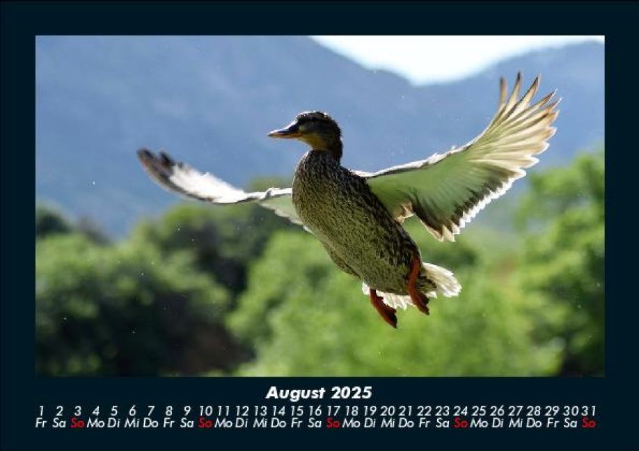 InsideView 12