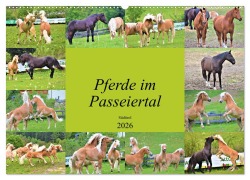 Cover-Bild zum Titel 'Pferde im Passeiertal (Wandkalender 2026 DIN A2 quer), CALVENDO Monatskalender' von 'Markus Pixner'