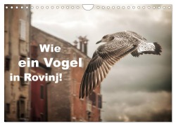 Cover-Bild zum Titel 'Wie ein Vogel in Rovinj! (Wandkalender 2026 DIN A4 quer), CALVENDO Monatskalender' von 'Viktor Gross'