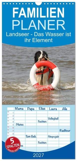Familienplaner 2027 - Landseer - Das Wasser ist ihr Element mit 5 Spalten (Wandkalender, 21 x 45 cm) CALVENDO - Barbara Mielewczyk Und Brigitte Weil