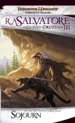 Cover-Bild zum Titel 'Sojourn' von 'R. A. Salvatore'