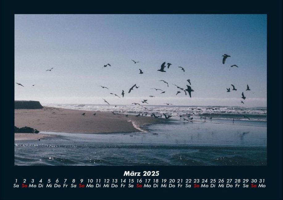 InsideView 7