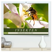 INSEKTEN - Makrofotografie in freier Natur (hochwertiger Premium Wandkalender 2026 DIN A2 quer), Kunstdruck in Hochglanz - Andrea Dreegmeyer