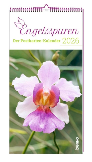 Engelsspuren 2026 - 